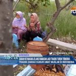 Ziarah Ke Makam Jelang Ramadhan Jadi Tradisi Turun Temurun