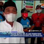 Tradisi Mapag Sri Jelang Panen Raya