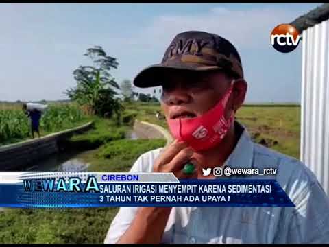 Saluran Irigasi Menyempit Karena Sedimentasi