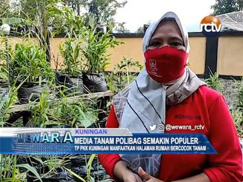 Media Tanam Polibag Semakin Populer