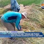 Profesi Petani Terancam Punah