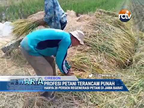 Profesi Petani Terancam Punah