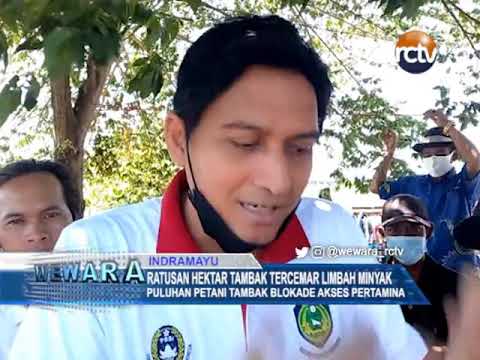 Ratusan Hektar Tambak Tercemar Limbah Minyak