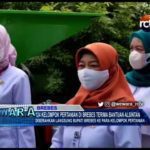 124 Kelompok Pertanian di Brebes Terima Bantuan Alsintan