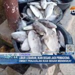 Libur Lebaran, Ikan Segar Jadi Primadona