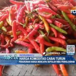 Harga Komoditas Cabai Turun