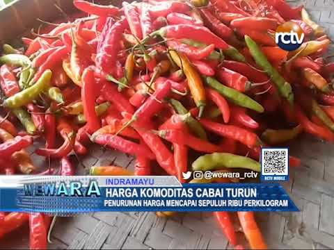 Harga Komoditas Cabai Turun