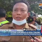 Potensi Agrowisata di Desa Tonjong