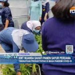 KWT Nuansa Sahati Panen Sayur Perdana