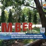 Ranting Pohon di Depan Hutan Kota Sumber Rawan