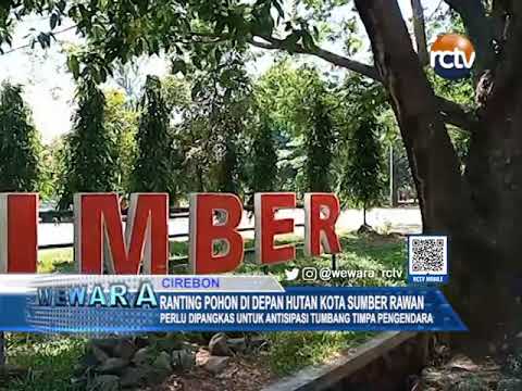 Ranting Pohon di Depan Hutan Kota Sumber Rawan