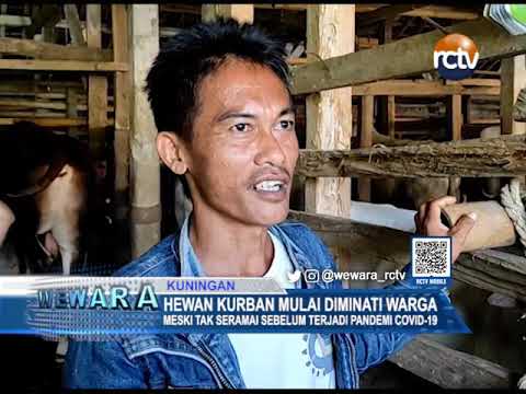 Hewan Kurban Mulai Diminati Warga