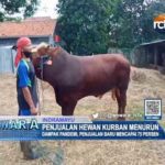 Penjualan Hewan Kurban Menurun