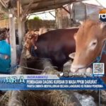 Pembagian Daging Kurban di Masa PPKM Darurat