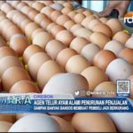 Agen Telur Ayam Alami Penurunan Penjualan