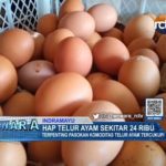 HAP Telur Ayam Sekitar 24 Ribu