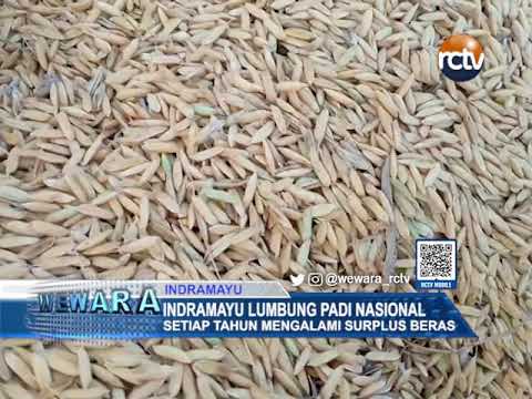 Indramayu Lumbung Padi Nasional