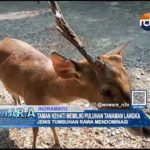 Taman Kehati Memiliki Puluhan Tanaman Langka