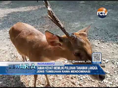 Taman Kehati Memiliki Puluhan Tanaman Langka