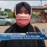 Agrowisata Situ Bolang