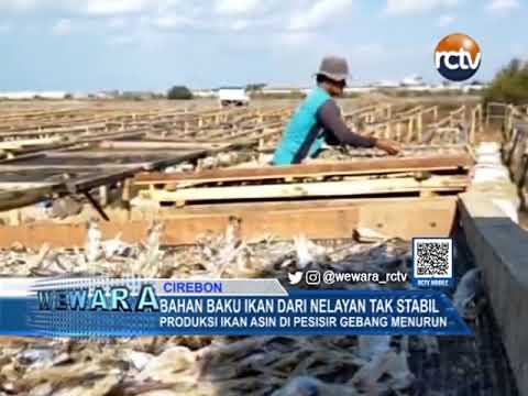 Bahan Baku Ikan Dari Nelayan Tak Stabil