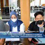 Isu Kasus Pokir Sapi Memanas di Kuningan