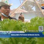Manajemen Pertanian Berbasis Digital