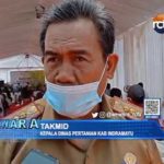 Demplot Pertanian Organik Mulai Bertambah