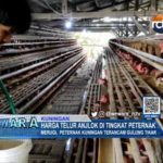 Harga Telur Anjlok di Tingkat Peternak