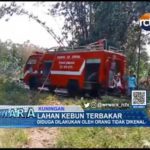 Lahan Kebun Terbakar