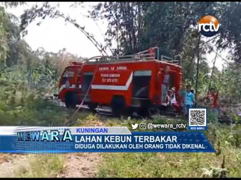 Lahan Kebun Terbakar