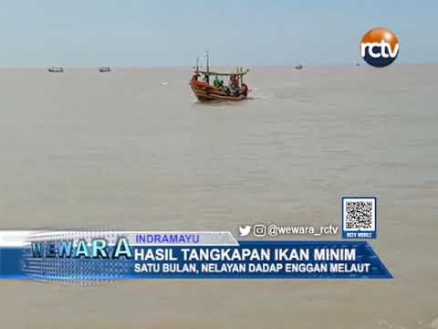 Hasil Tangkapan Ikan Minim