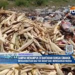 Sampah Menumpuk di Bantaran Sungai Cimanuk