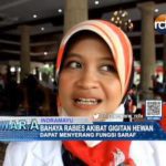 Bahaya Rabies Akibat Gigitan Hewan