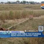 Banyak Lahan Tambak Tidak Difungsikan