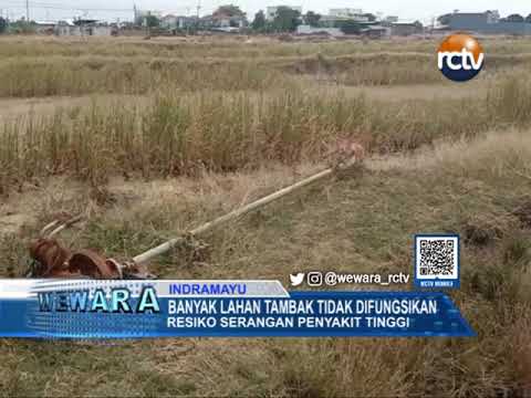 Banyak Lahan Tambak Tidak Difungsikan