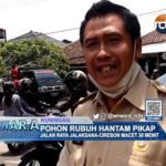 Pohon Rubuh Hantam Pikap