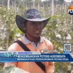 Mengembangkan Potensi Agro Wisata