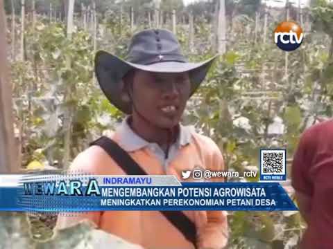 Mengembangkan Potensi Agro Wisata