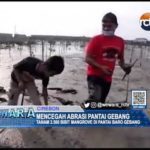 Mencegah Abrasi Pantai Gebang