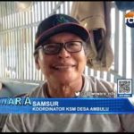Progres Livelihood Desa Ambulu Mencapai 50 Persen