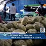 Harga Kol Anjlok