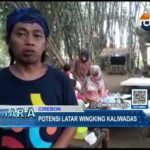 Potensi Latar Wingking Kaliwadas