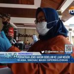 Perhatikan Jenis Vaksin Sebelum ke Luar Negeri