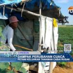 Dampak Perubahan Cuaca