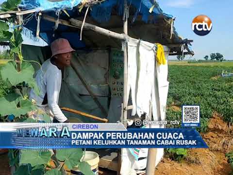 Dampak Perubahan Cuaca