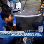 Evakuasi Sarang Tawon Vespa