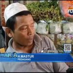 Harga Cabai Melonjak