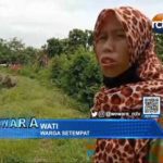 Tanggul Sungai Cipanas Desa Karangasem Kritis