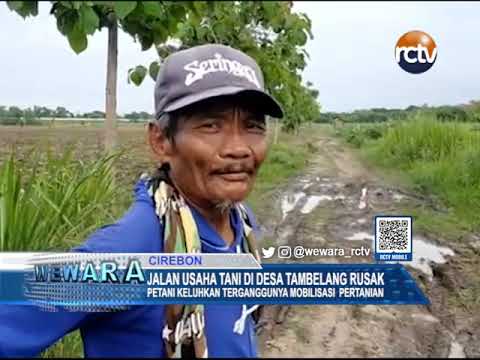 Jalan Usaha Tani di Desa Tambelang Rusak
